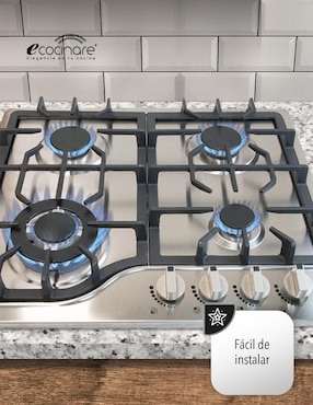 Parrilla a gas lp empotrable Ecocinare