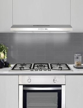 Parrilla a gas lp empotrable Disa Home