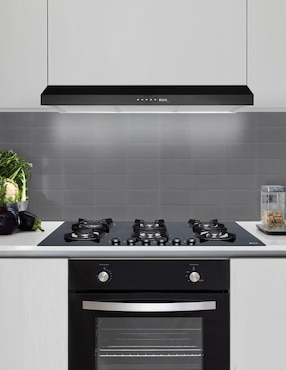 Parrilla a gas lp empotrable Disa Home