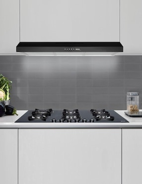 Parrilla a gas lp empotrable Disa Home