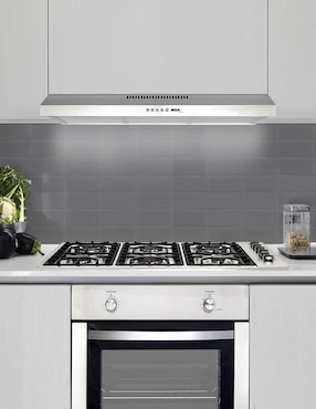 Parrilla a gas lp empotrable Disa Home