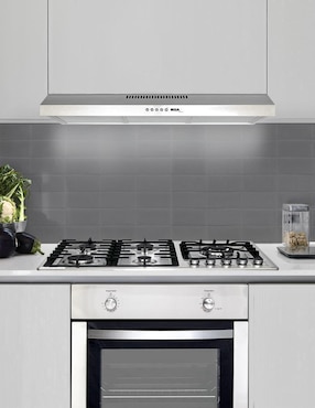 Parrilla a gas lp empotrable Disa Home