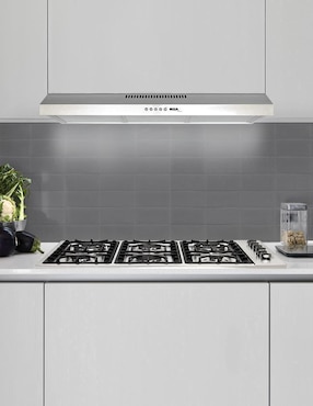 Parrilla a gas lp empotrable Disa Home