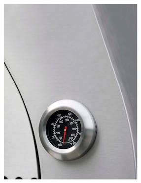 Horno para pizza Thor Kitchen para uso exterior