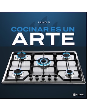 Parrilla a gas lp empotrable Fline lund