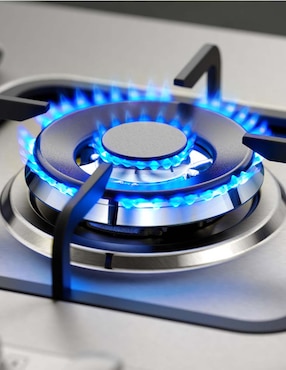Parrilla a gas lp empotrable Frigidaire
