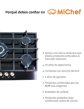 Parrilla a gas lp empotrable Michef