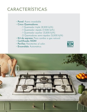 Parrilla a gas lp empotrable Rivel