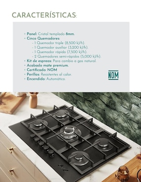 Parrilla a gas lp empotrable Rivel
