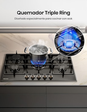 Parrilla a gas lp empotrable Hisense