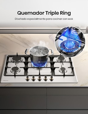 Parrilla a gas lp empotrable Hisense