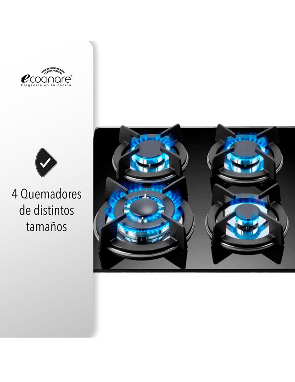 Parrilla a gas lp empotrable 2