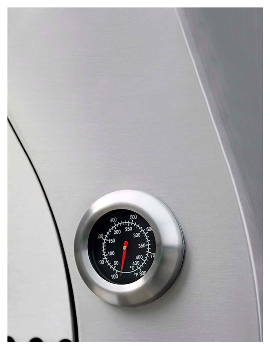 Horno para pizza para uso exterior 5