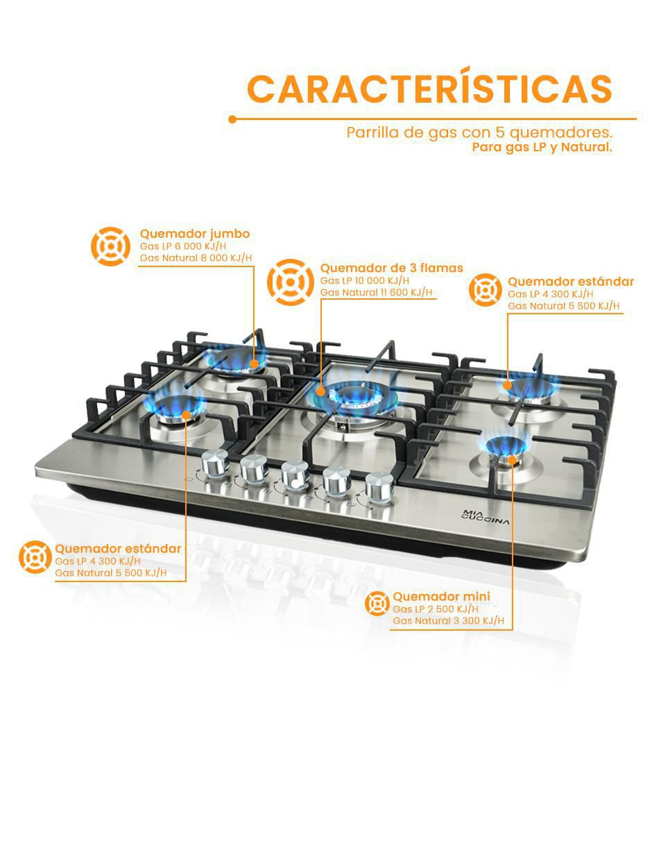 Parrilla a gas lp empotrable 6