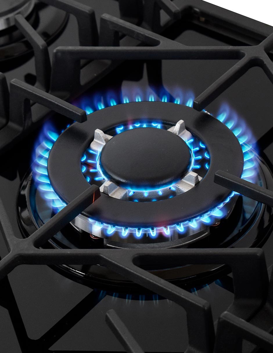 Parrilla a gas lp empotrable 4