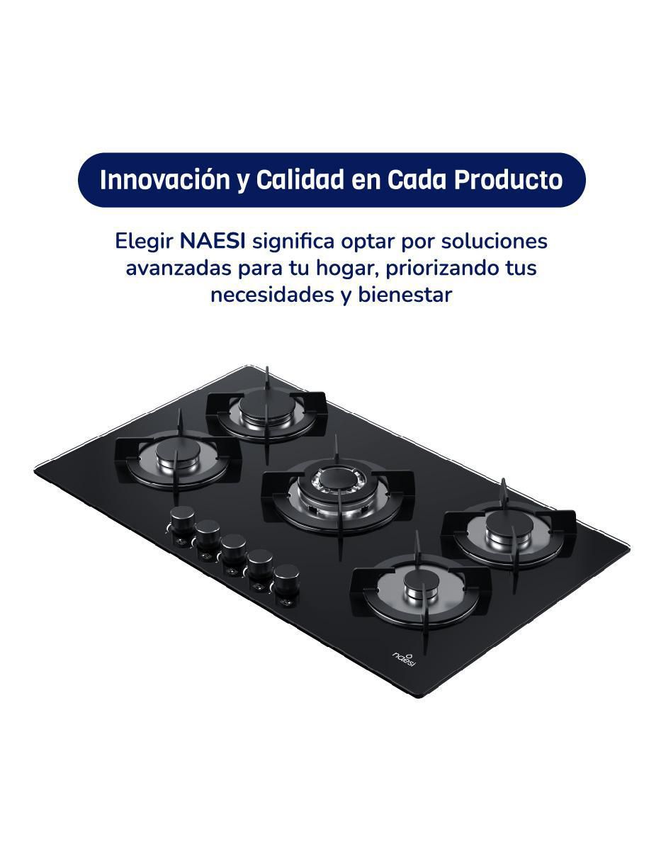 Parrilla a gas lp empotrable 4