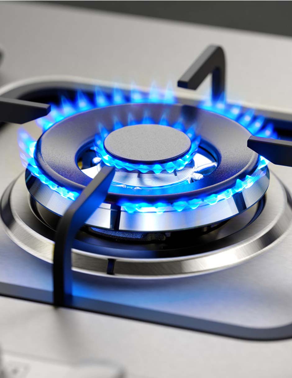 Parrilla a gas lp empotrable 5