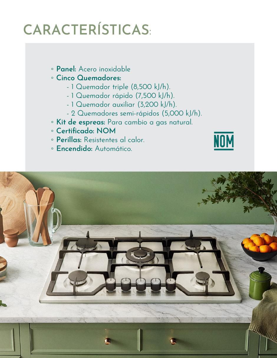Parrilla a gas lp empotrable 5