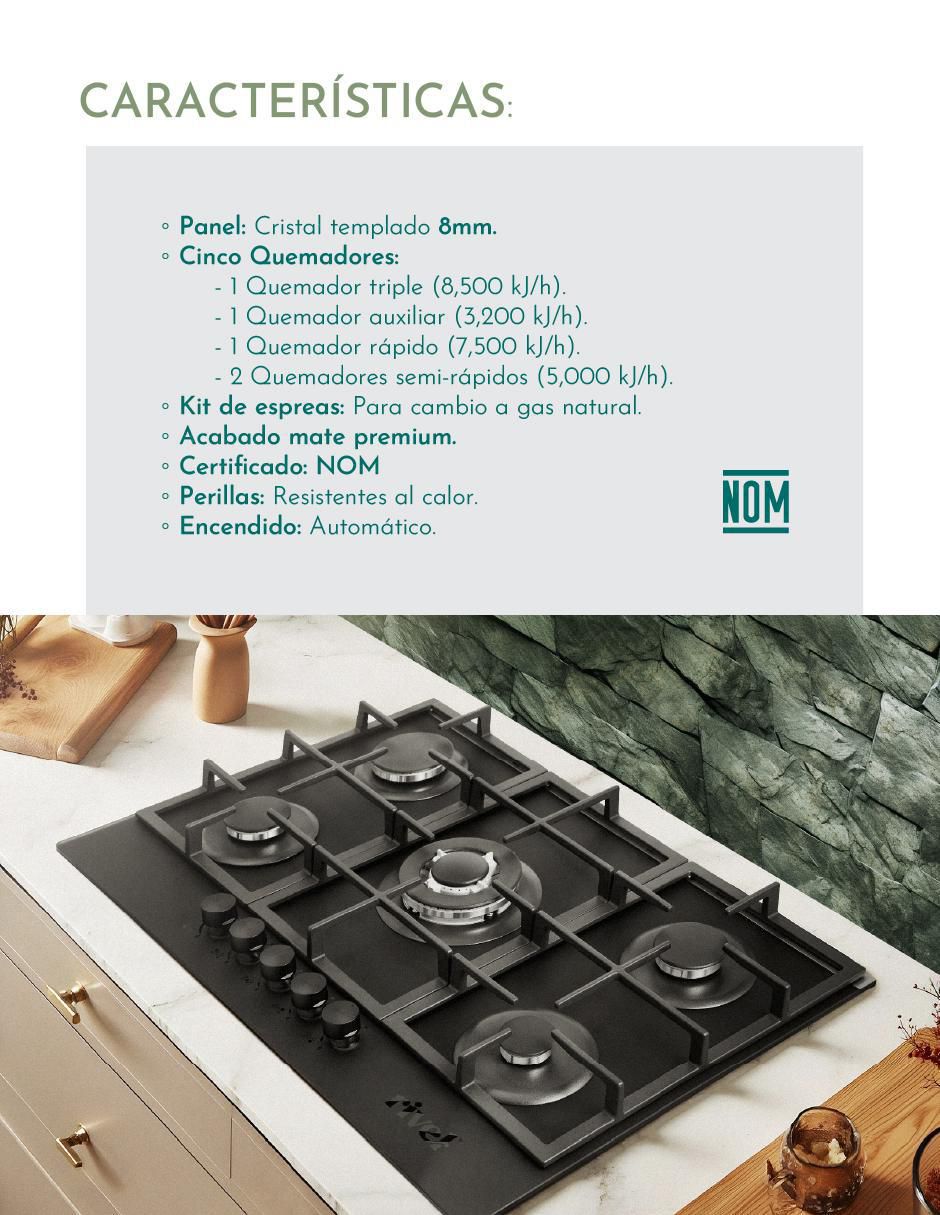 Parrilla a gas lp empotrable 5