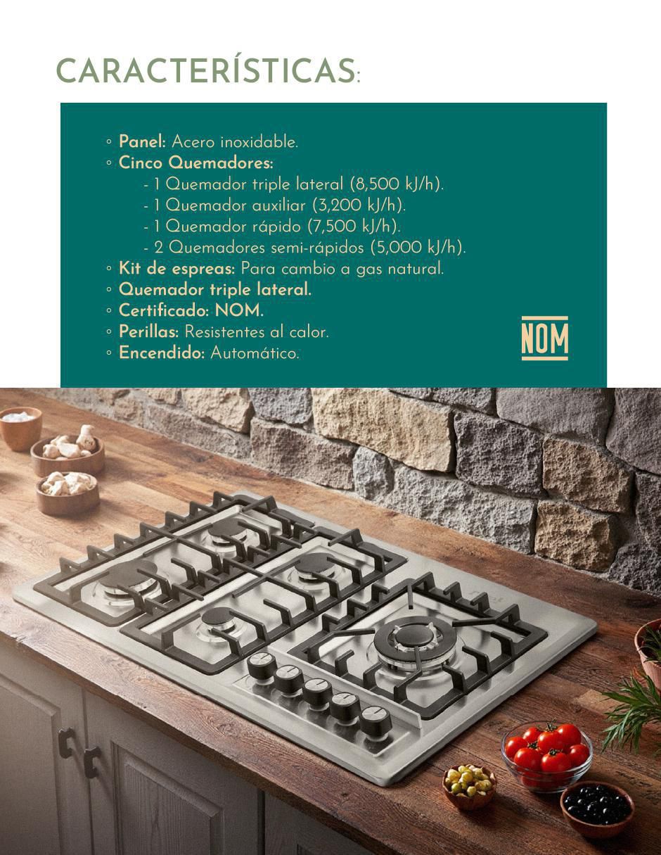 Parrilla a gas lp empotrable 5