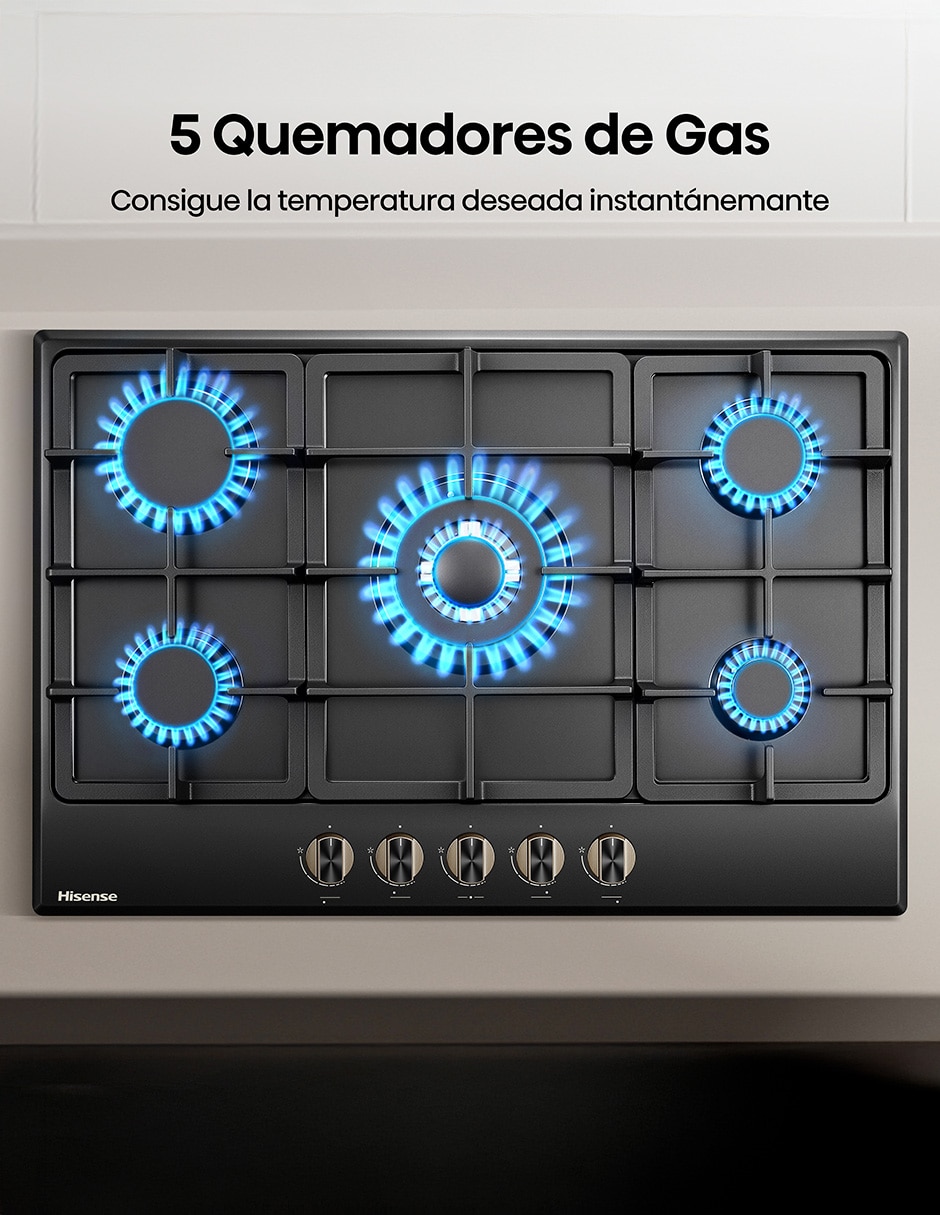 Parrilla a gas lp empotrable 8