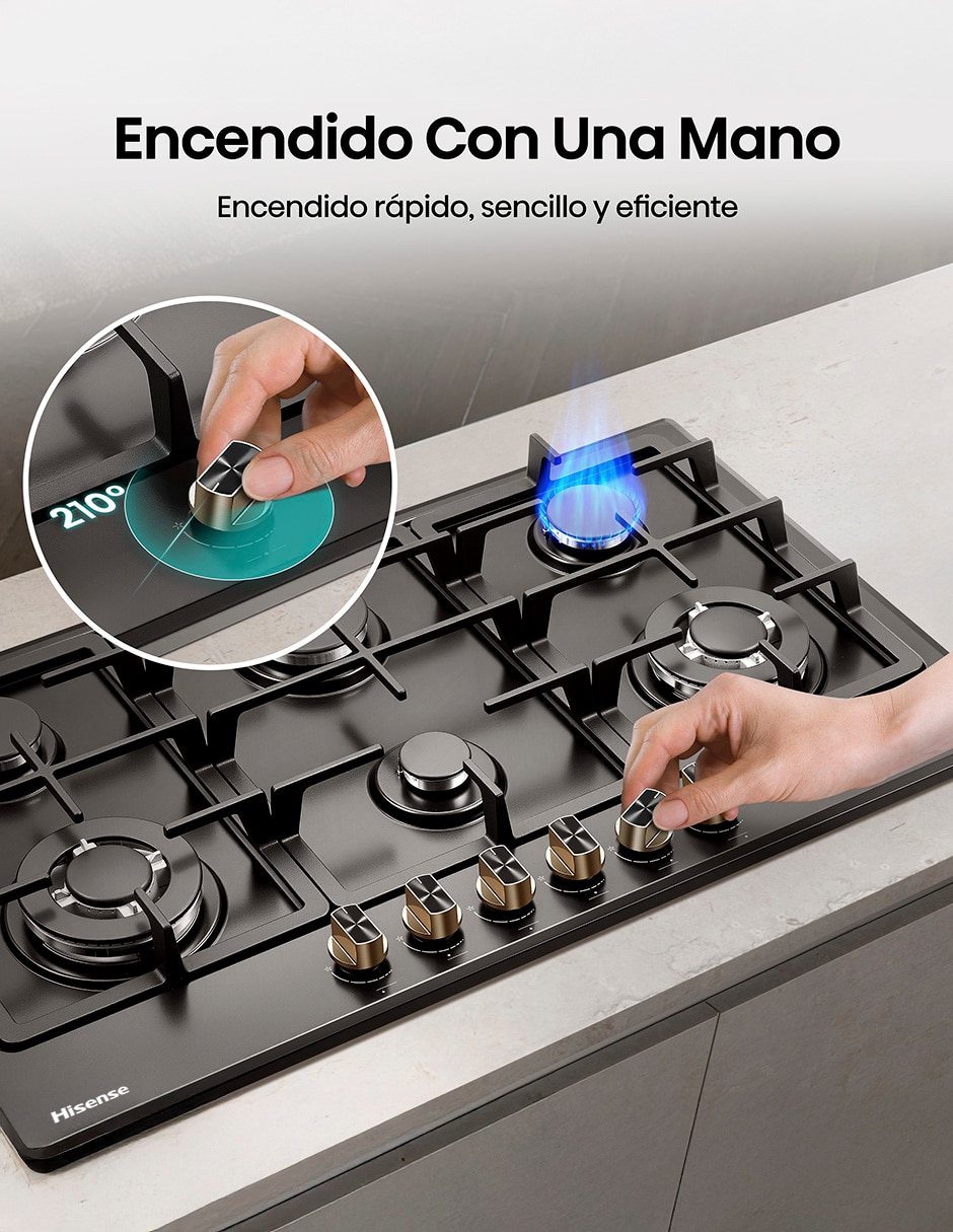 Parrilla a gas lp empotrable 13