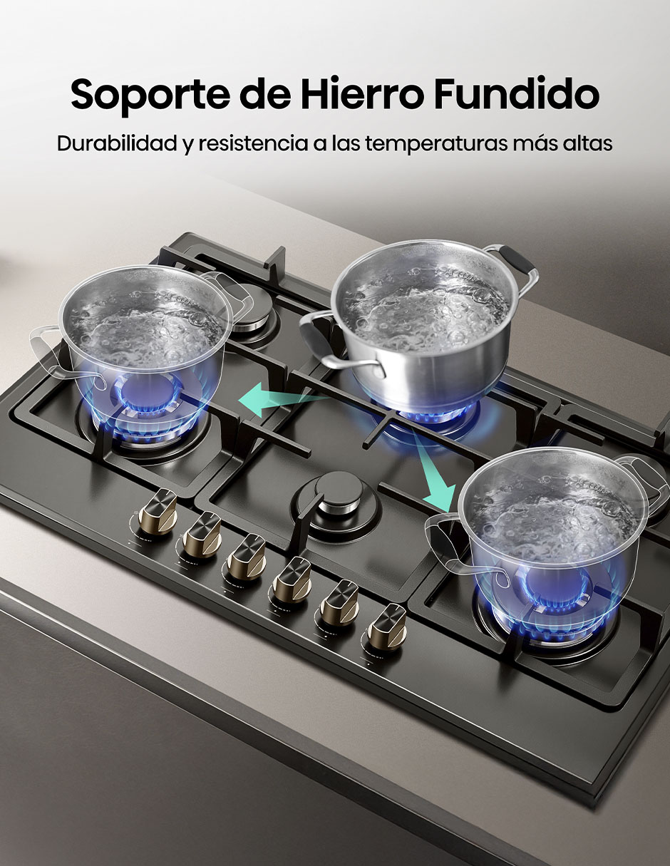 Parrilla a gas lp empotrable 10