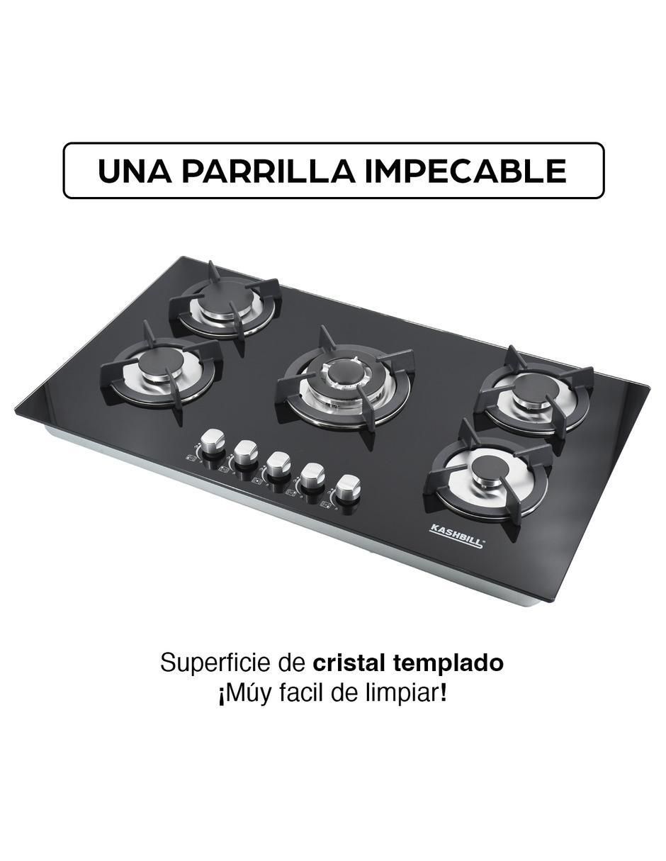 Parrilla a gas lp empotrable 11