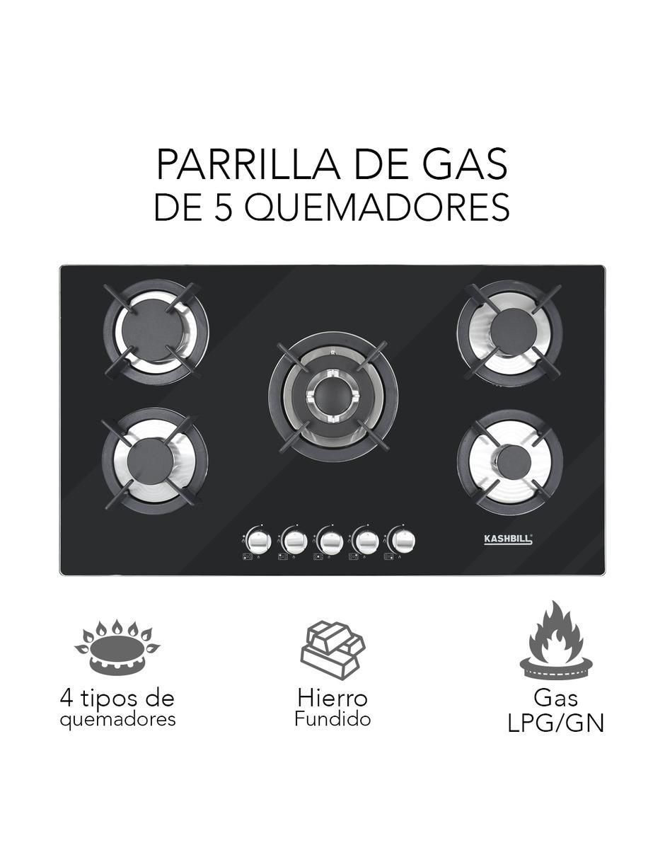 Parrilla a gas lp empotrable 5
