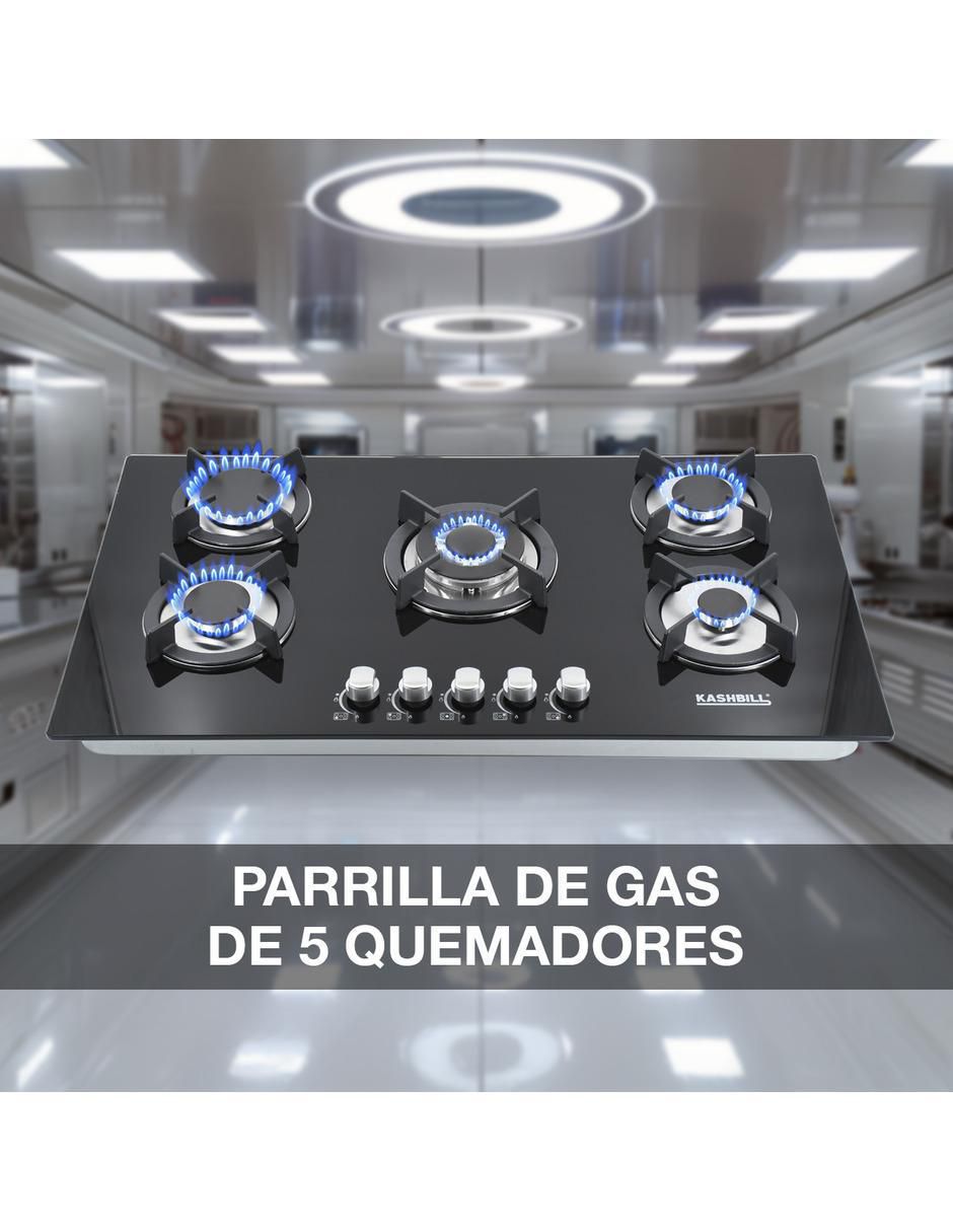 Parrilla a gas lp empotrable 9