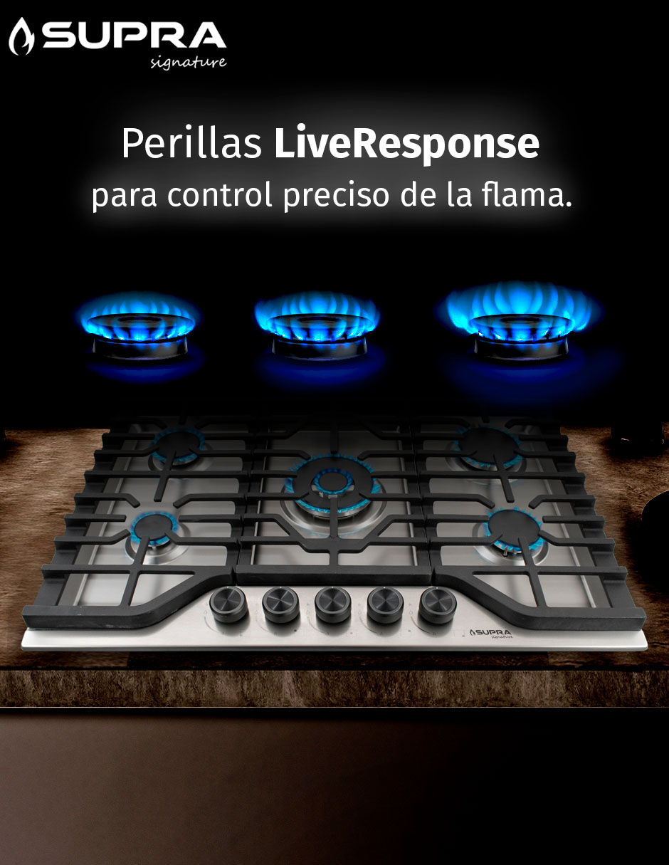 Parrilla a gas lp empotrable 4