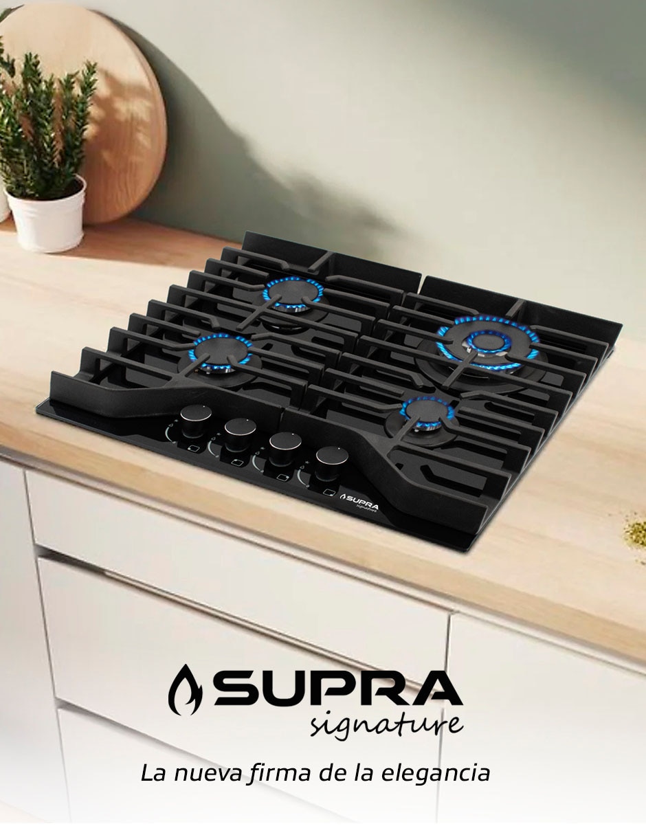 Parrilla a gas lp empotrable 2
