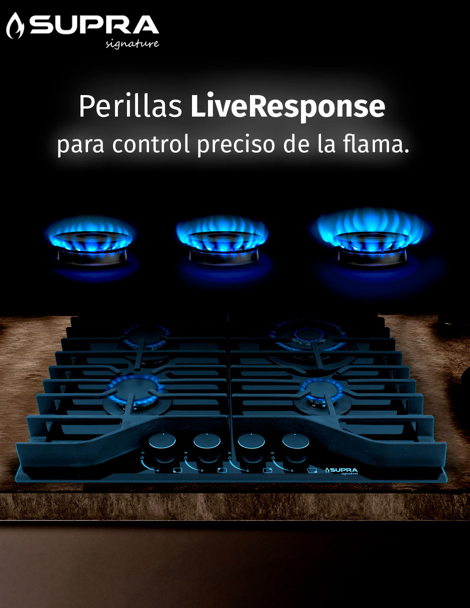 Parrilla a gas lp empotrable 3