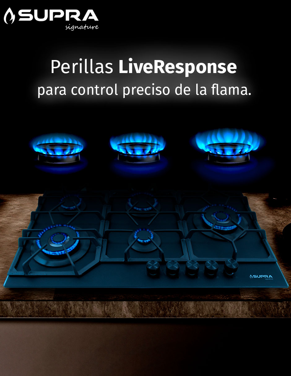Parrilla a gas lp empotrable 5