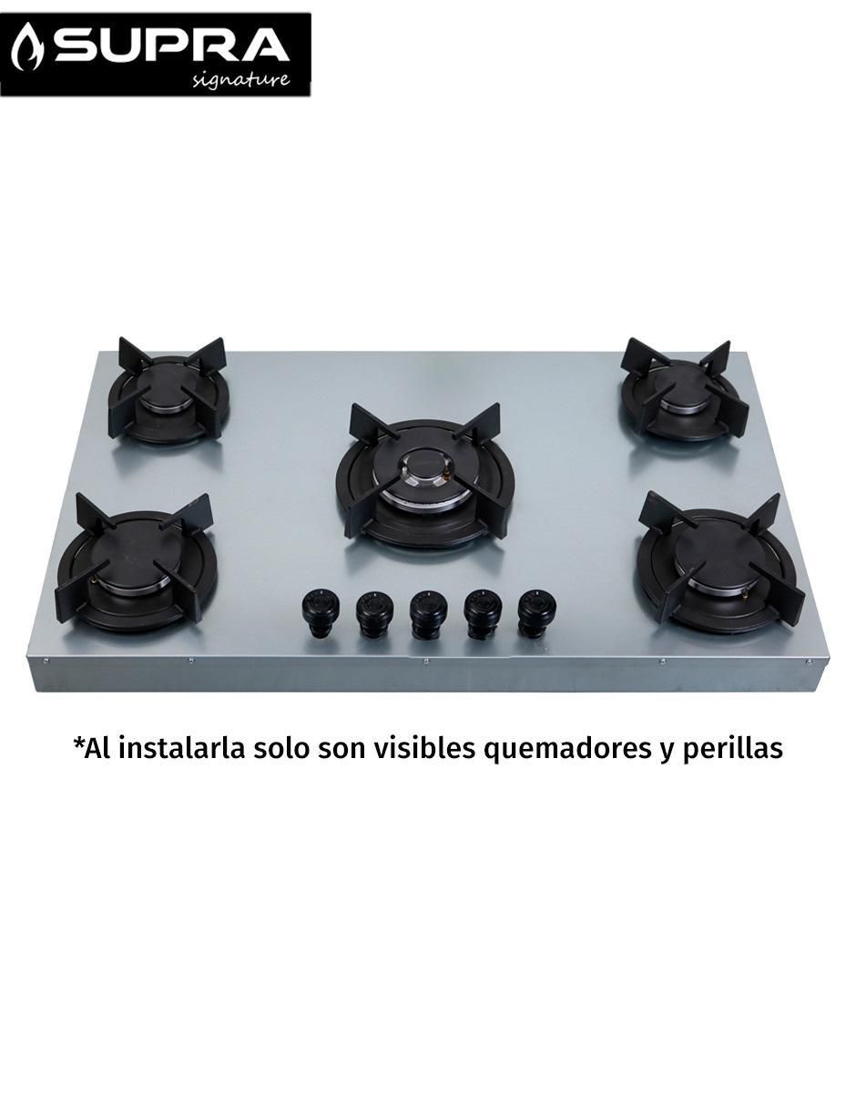 Parrilla a gas lp empotrable 2