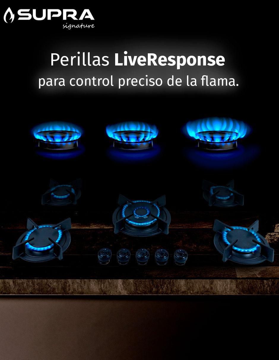 Parrilla a gas lp empotrable 9