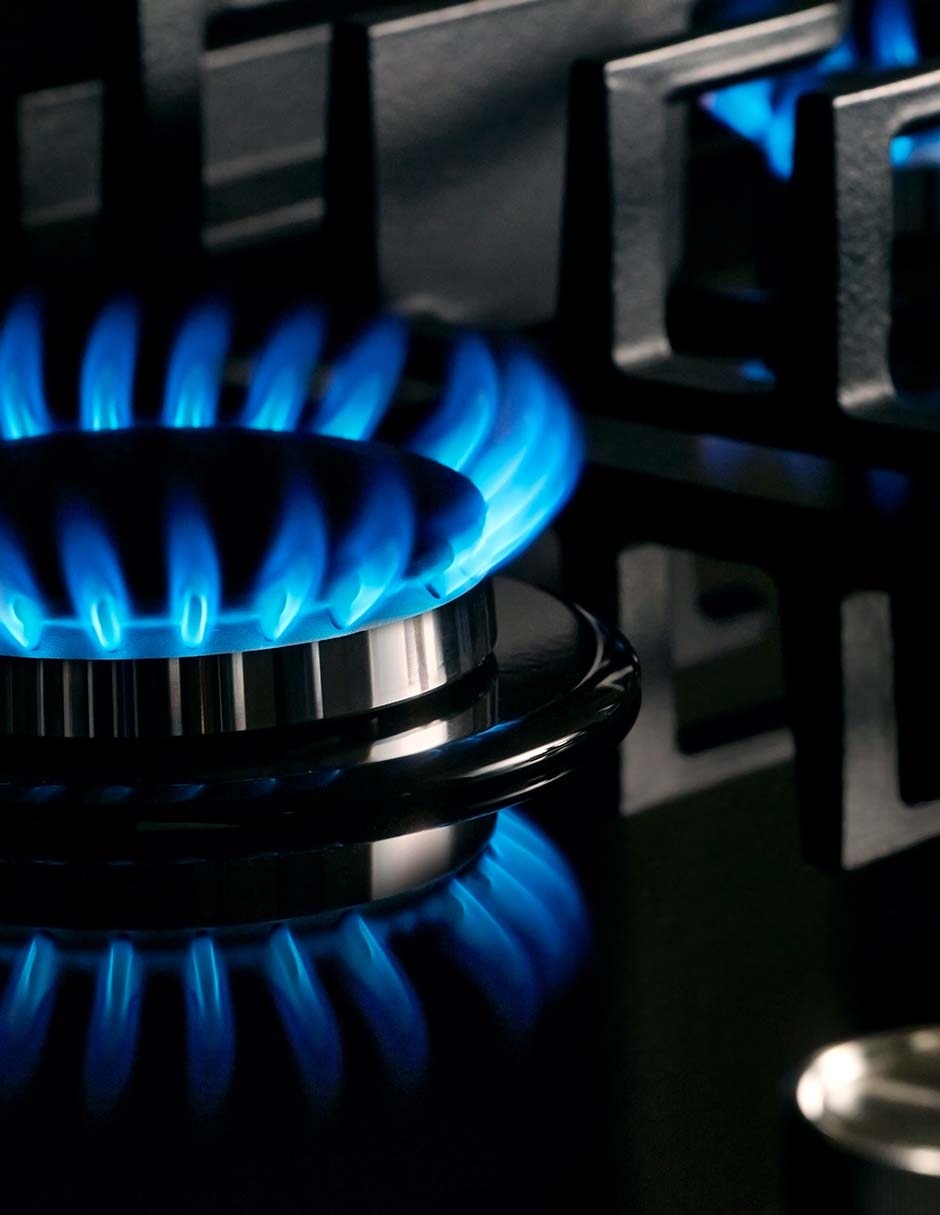 Parrilla a gas lp empotrable 4